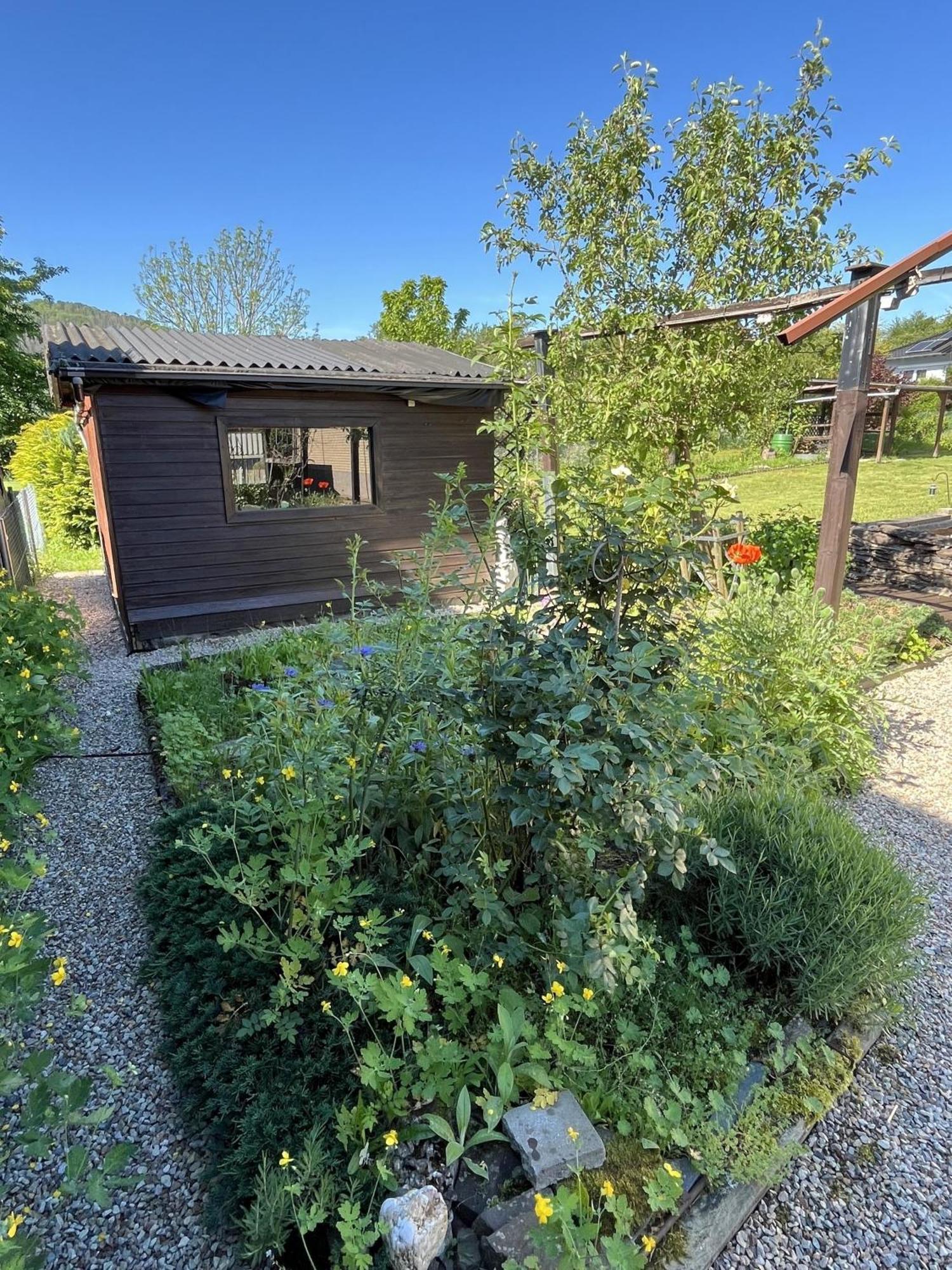 Eifelseensucht Holiday home Heimbach